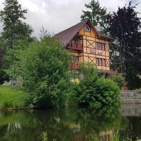 Penzion Villa Mon Ami Vysoké Tatry エクステリア 写真